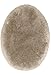 STAINMASTER TruSoft Luxurious Bath Toilet Lid Rug, Standard Lid Linen