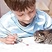 Dialeesi Laser Pointer for Cats USB Rechargeable, Cat Dog Interactive Lazer Toy, Pet Training Exercise Chaser Tool, 3 Mode - Red Light LED Flashlight UV Light with A Squeaky Mouse