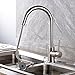 Rozin Single Handle Kitchen Sink Faucet Pull Out Spray Deck Mounted Mixer Tap Brushed Nickel
