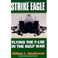 Strike Eagle: Flying the F-15E in the Gulf War book cover