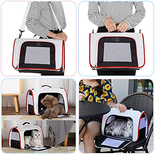 A4Pet Rabbit Carrier Bunny Carriers,Airline Approved Lightweight SoftSided Portable Small