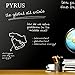 PYRUS Chalkboard Labels, 18