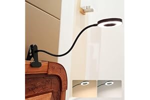DINGLILIGHTING DLLT LED USB Reading Light Clip Laptop Lamp for Book, Piano, Bed Headboard, Desk, Eye-Care 2 Light Color Switchable, Adapter Included, Black