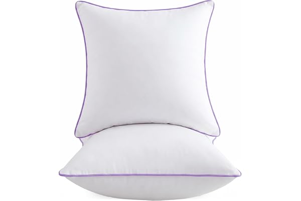 Wuuyuef 18x18 Pillow Inserts Set of 2, Square Decorative Throw Pillow Stuffers, Hypoallergenic Down Alternative Filling for S