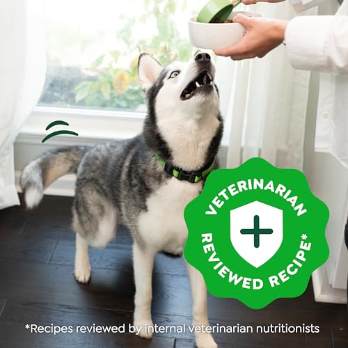 GREENIES SMART ESSENTIALS SENSITIVE DIGESTION & SKIN ADULT DRY DOG FOOD REAL LAMB & BROWN RICE RECIPE, 6 LB. BAG