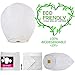 FUN Entertainments 12-Pack White ECO Sky Lanterns Chinese Lanterns 100% Biodegradable+Marker pen, Environmentally Friendly!