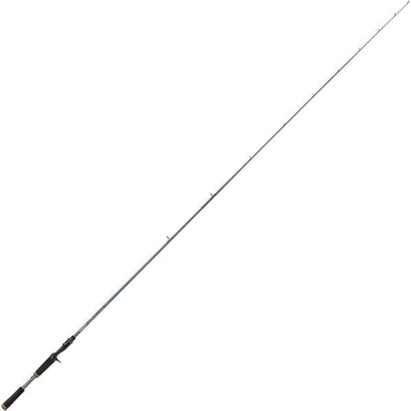 Amazon.com: Daiwa Heartland 722MRB-20 Bass Rod, Fishing Rod