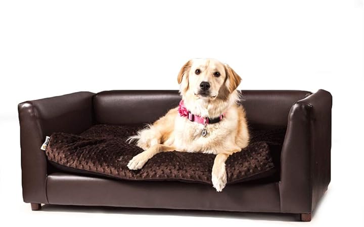 coolidge dog sofa