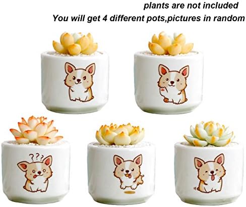 4 PCS Set 3 Inch Ceramic Cute Corgi Dog Design Sucuulent Plant Pot/Cactus Plant Pot Flower Pot/Container/Planter