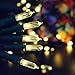 LALAPAO M5 Battery Operated String Lights 100 LED Clear Mini Christmas Lighting Decor Timer for Outdoor Indoor Garden Holiday Wedding Decorations (Warm White)