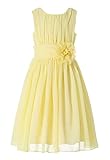 Bow Dream Little Girls Elegant Ruffle Chiffon