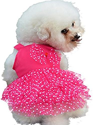 Small Pet Girl Dog Clothes Apparel Summer Princess Dress Size S (rose red)