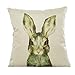 Ninasill Cute Colorful Animal Pillow Case 45cm45cm/1818 Pillow Case (beige 6)