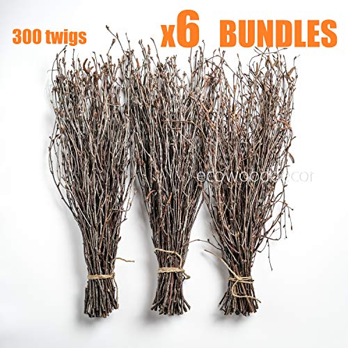 Birch Twigs for vase Decoration Set of 300 Twigs (6 Bundles) Pricepulse