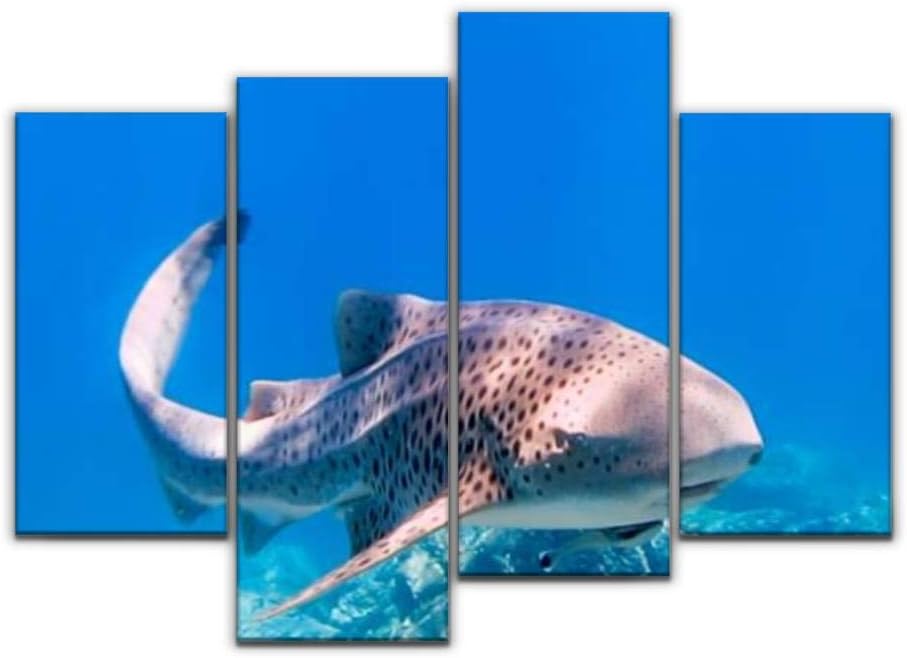 rare close up encounter with endangered species zebra leopard shark - Canvas Wall Art - Office Decoration Painting Artwork for Living Room Bedroom Home Decor - 4 Panel