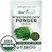 Biofinest Wheat Grass Juice Powder - Pure Freeze-Dried Chlorophyll Superfood - USDA Organic (4oz)