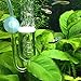 BleuMoo Aquarium Fish Tank Glass CO2 Diffuser Plants Solenoid Regulator Moss Atomizer