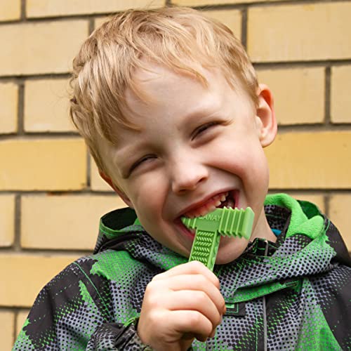 Sensory Chew Toys for Autistic Children, Chew Sticks for Humans, Alt