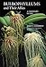 Bulbophyllums and Their Allies: A Grower's Guide