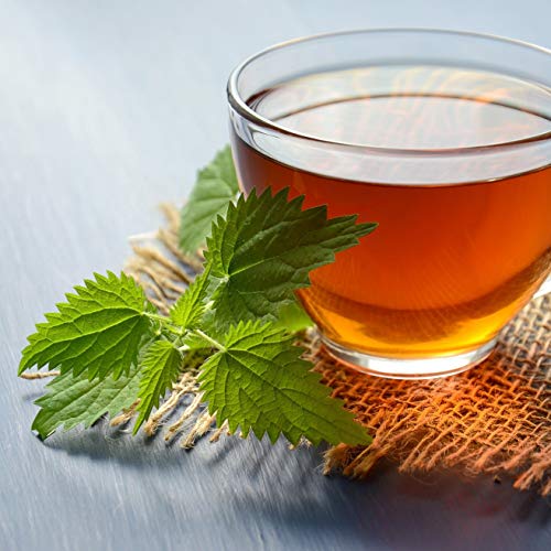 Brennesseltee (250g), Brennnesselblätter, 100% natürlicher Brennnessel Tee, Kräutertee lose, geschnitten, natürliche… – Bild 7