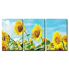 3 Piece Canvas Wall Art - Sunflower Field - Modern Home Art Stretched and Framed Ready to Hang - 16"x24"x3 Panels