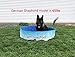 Midlee Dog Pool - Foldable & Portable Outdoor Bathing Tub (63