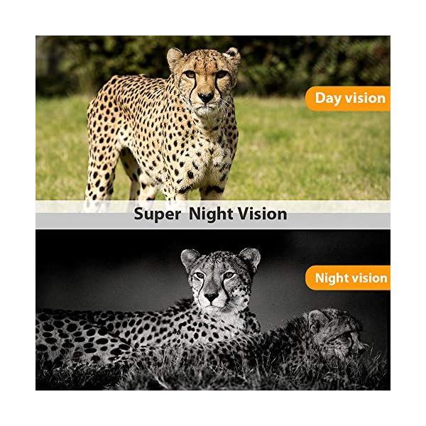 L-zp Jagdkamera 4G 1080P 16MP Wildkamera Fotofalle mit IP65 wasserdichte Jagdkamera 36 Pcs Low-Glow 940nm Infrarot-LEDs… – Bild 6