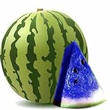 super1798 10 Pcs New Variety Plant Blue Watermelon Seeds Vegetable Organic Gardening