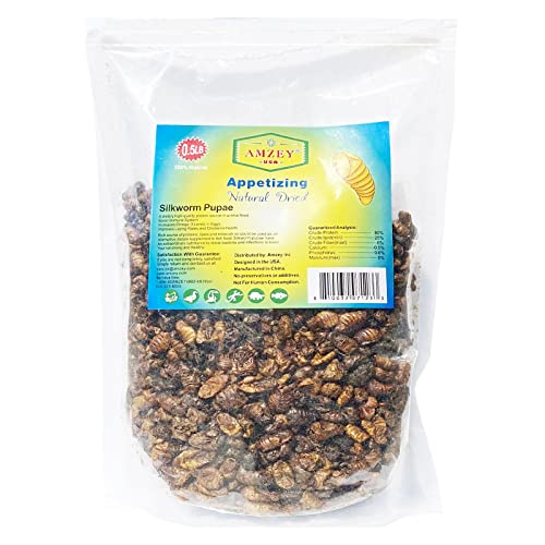 Amzey Dried Silkworm Pupae for Bearded Dragon, Chicken, Koi, Fish