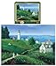 Island in Bloom 300-Piece Puzzle