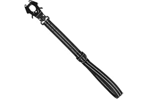 ICEFANG Short Dog Leash 25Inch Reflective Nylon Traffic Leash with Padded Handle,Heavy Duty Auto Lock Swivel Clip for Medium Large Dogs No Pull Training Walking (Black, 25 Inch)