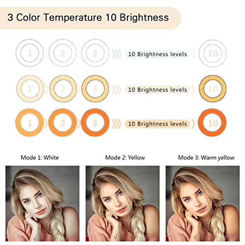 1 Streaming+Shooting+Photography+Smartphone+Brightness