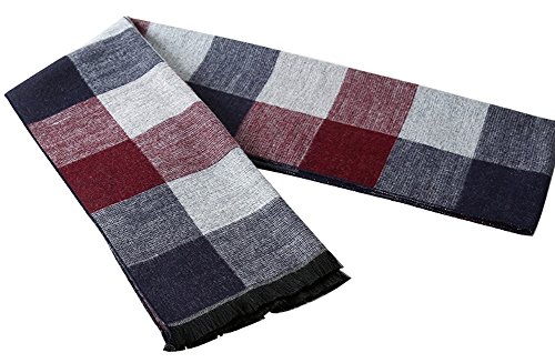 MuNiSa Men's Winter Scarf Plaid Stripes Long Cashmere Scarves with Tassel(White) - Thumbnail 4