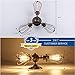 Industrial Flush Mount Ceiling Light Fixture, Rustic Rotatable Ceiling Lighting in Golden Bronze, Vintage 3-Light Wire Cage Sconce Wall Lighting for Farmhouse Bedroom Living Room Café, 1 Pack