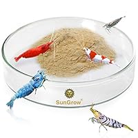 SunGrow Tough Borosilicate Glass Shrimp Feed Dish, 2.5 Inches Wide and 0.5 Inch Deep, Avert Food Spilling, Heavy-Duty, Transparent Basin for Shrimp Food or Fish