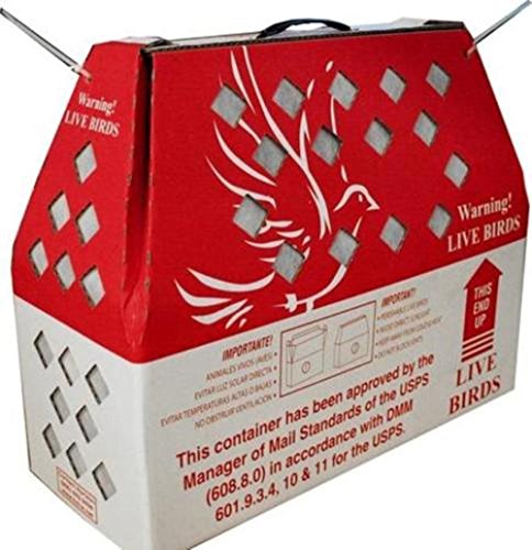 Live Bird Shipping Boxes (10pk) Horizon Chickens Poultry Gamefowl - USPS Approved