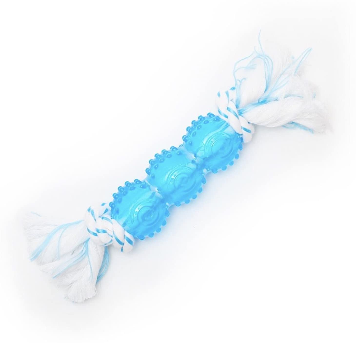 Clean Mint Barbell & Rope Dog Chew Toy
