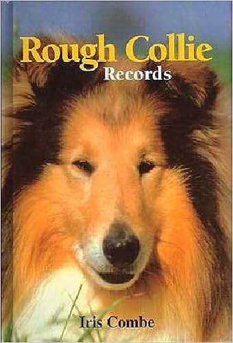 Rough Collie Records n[hJo[ - 1997/12/4