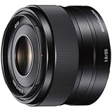 Amazon Com Sony Sel35f14z Distagon T Fe 35mm F 1 4 Za Standard Prime Lens For Mirrorless Cameras Camera Photo