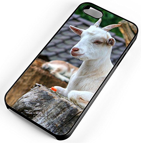 iPhone Case Fits iPhone 5c Goat Billy Nanny Kid Cottage Cheese Milk Black Plastic