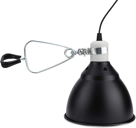 clamp lamp terrarium