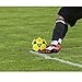 Mikasa SWL62-BY Series Official Futsal Socer Ball, Blue/Yellow