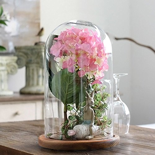 Reelva Decorative Clear Glass Cloche Bell Jar Display Case (D11cmH20cm)