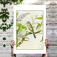 Canvas Wall Art Birds on The Branch Canvas Prints Home Artwork Decoration for Living Room,Bedroom - 12x18 inches