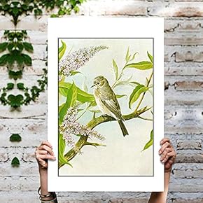 Birds on The Branch Home Artwork for Living Room Bedroom