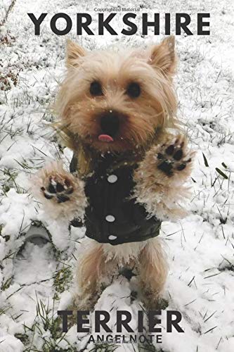 Yorkshire Terrier Notebook With Dog Yorkshire Little Dog Cute