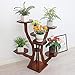 Flower stand Flower Stand Living Room Indoor Solid Wood Floor Multi-Layer Green Plant Stand Chinese Simple Wood Flower Stand Plant Container (Color : Brown, Size : 606095cm)thumb 2