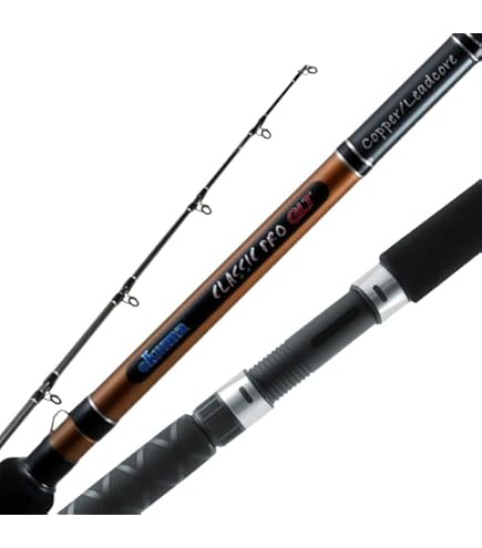 about st croix rods St. Croix Eyecon Spinning Rod
