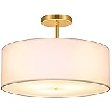 FRIDEKO HOME 3-Light Semi Flush Mount Ceiling Light