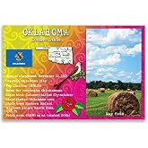 OKLAHOMA STATE FACTS postcard set of 20 identical postcards. Post cards with OK facts and state symbols. Made in USA.